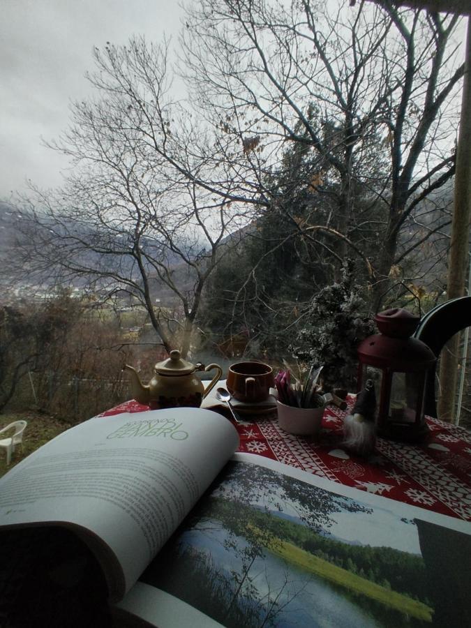 Amaranta And Breakfast