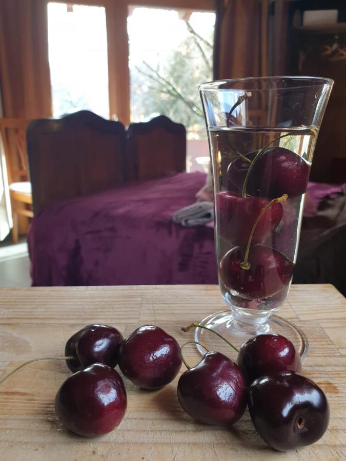 Gasthof Amaranta And Breakfast *